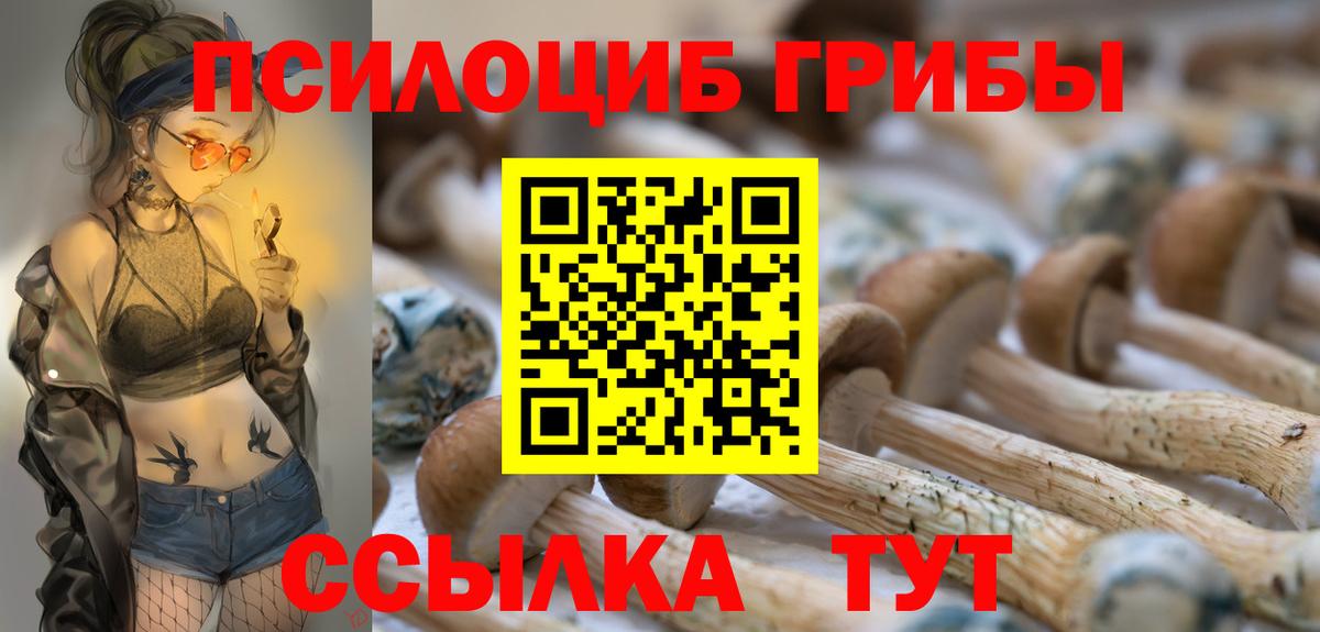 Воркута  Псилоцибиновые грибы Psilocybine cubensis  цены   Вход с VPN 